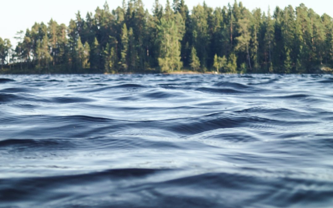Järvien tila Suomessa: kuinka pidämme järvet puhtaina?
