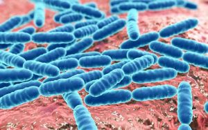 Tukoksia ahmiva mikrobi ratkaisee putkiongelmat, väittää suomalaisyritys – Asiantuntija: ”kuulostaa ihan hyvältä” (Helsingin Sanomat 15.11.17)
